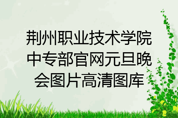 荆州职业技术学院中专部官网元旦晚会图片高清图库