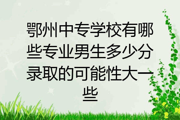 鄂州中专学校有哪些专业男生多少分录取的可能性大一些