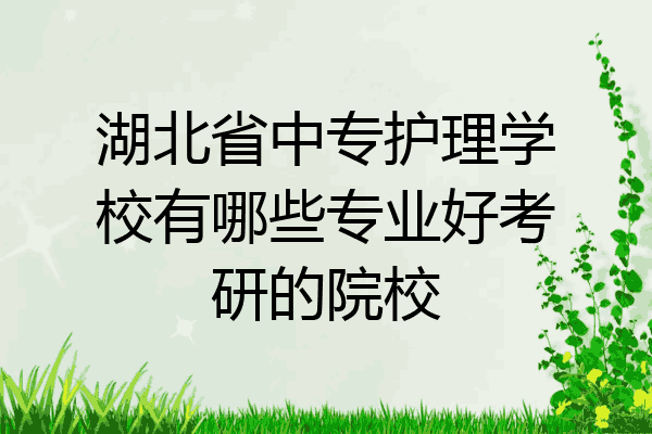 湖北省中专护理学校有哪些专业好考研的院校