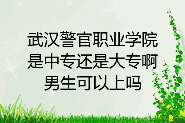 武汉警官职业学院是中专还是大专啊男生可以上吗