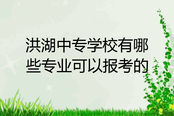 洪湖中专学校有哪些专业可以报考的