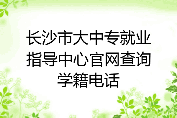 长沙市大中专就业指导中心官网查询学籍电话