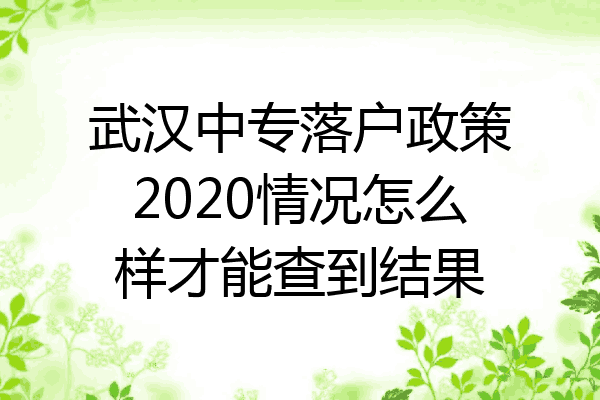 武汉中专落户政策2020情况怎么样才能查到结果