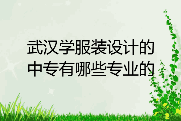 武汉学服装设计的中专有哪些专业的