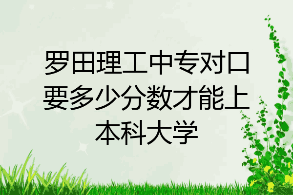 罗田理工中专对口要多少分数才能上本科大学