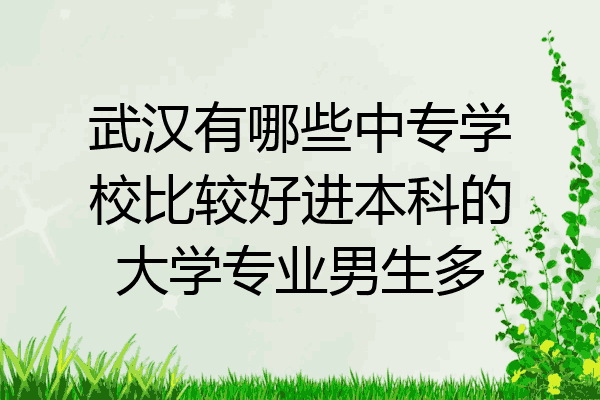 武汉有哪些中专学校比较好进本科的大学专业男生多