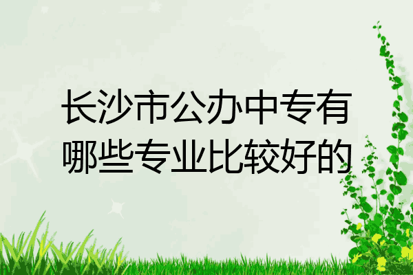 长沙市公办中专有哪些专业比较好的