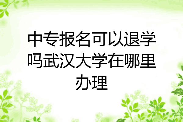 中专报名可以退学吗武汉大学在哪里办理