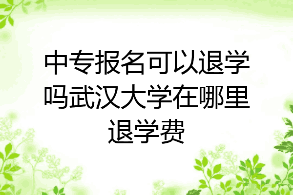 中专报名可以退学吗武汉大学在哪里退学费