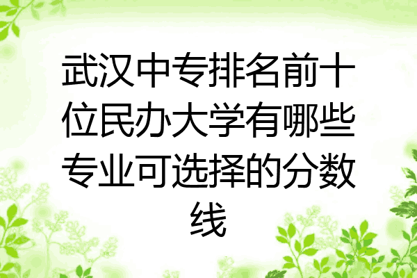 武汉中专排名前十位民办大学有哪些专业可选择的分数线