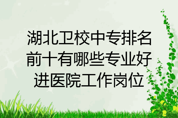 湖北卫校中专排名前十有哪些专业好进医院工作岗位