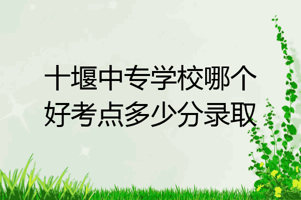 十堰中专学校哪个好考点多少分录取