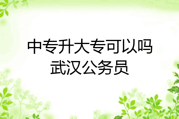中专升大专可以吗武汉公务员