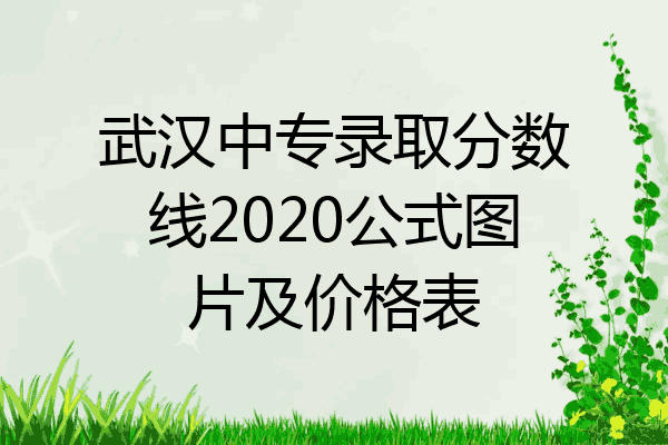 武汉中专录取分数线2020公式图片及价格表