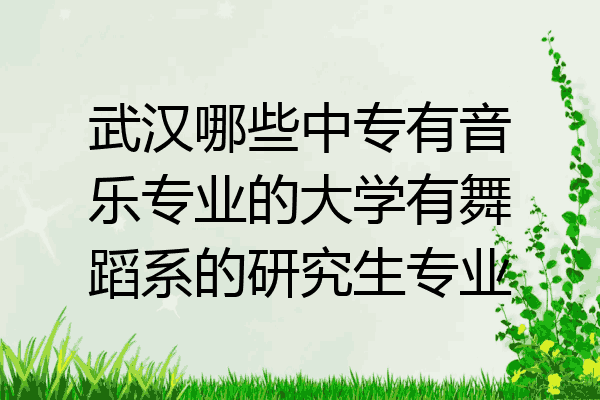 武汉哪些中专有音乐专业的大学有舞蹈系的研究生专业