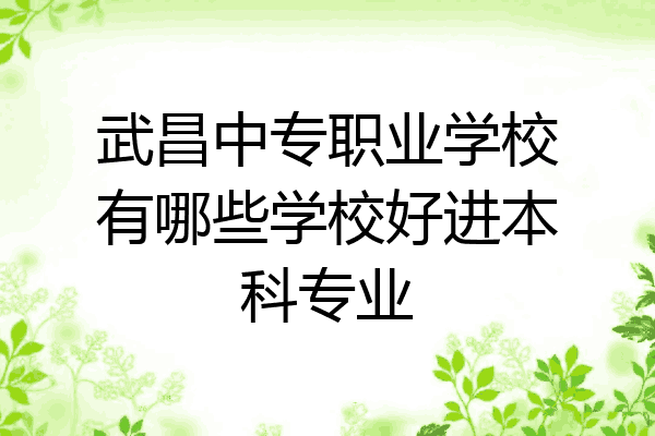 武昌中专职业学校有哪些学校好进本科专业