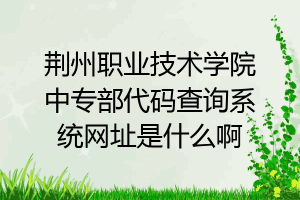 荆州职业技术学院中专部代码查询系统网址是什么啊