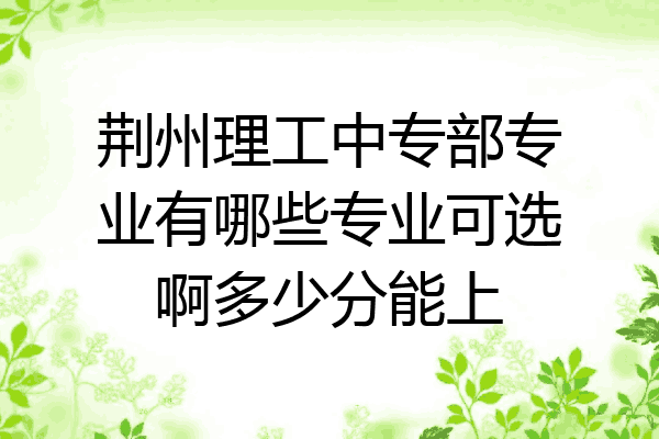 荆州理工中专部专业有哪些专业可选啊多少分能上