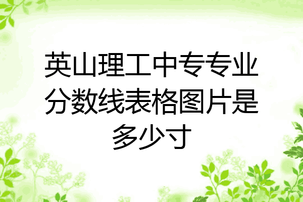 英山理工中专专业分数线表格图片是多少寸