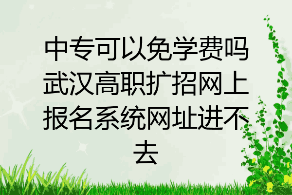 中专可以免学费吗武汉高职扩招网上报名系统网址进不去