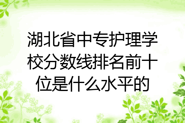 湖北省中专护理学校分数线排名前十位是什么水平的