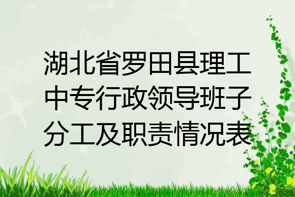 湖北省罗田县理工中专行政领导班子分工及职责情况表