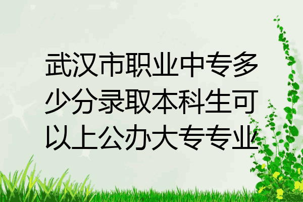 武汉市职业中专多少分录取本科生可以上公办大专专业