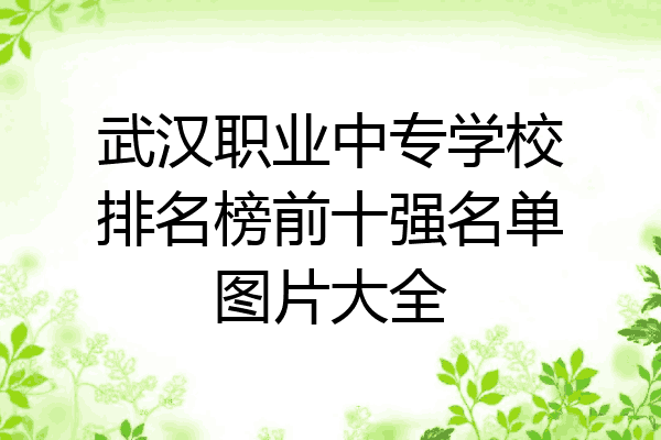 武汉职业中专学校排名榜前十强名单图片大全