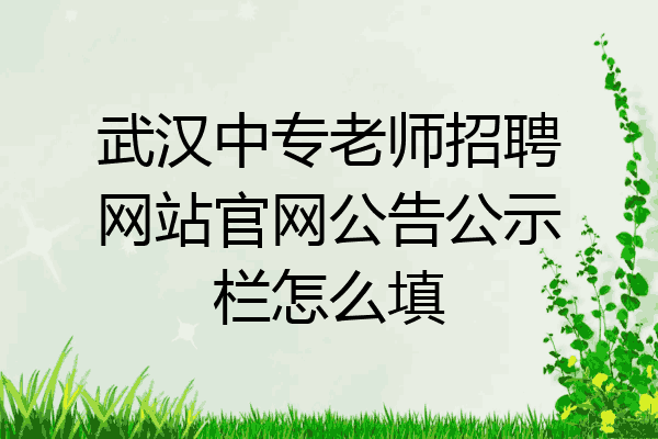 武汉中专老师招聘网站官网公告公示栏怎么填