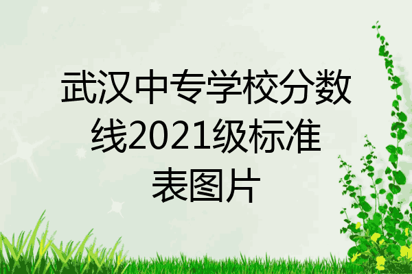 武汉中专学校分数线2021级标准表图片