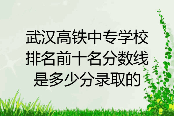武汉高铁中专学校排名前十名分数线是多少分录取的