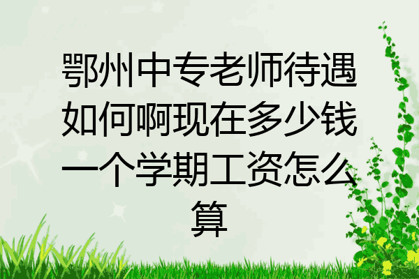 鄂州中专老师待遇如何啊现在多少钱一个学期工资怎么算