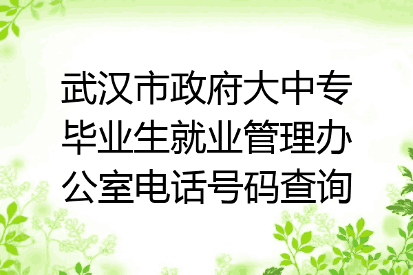 武汉市政府大中专毕业生就业管理办公室电话号码查询