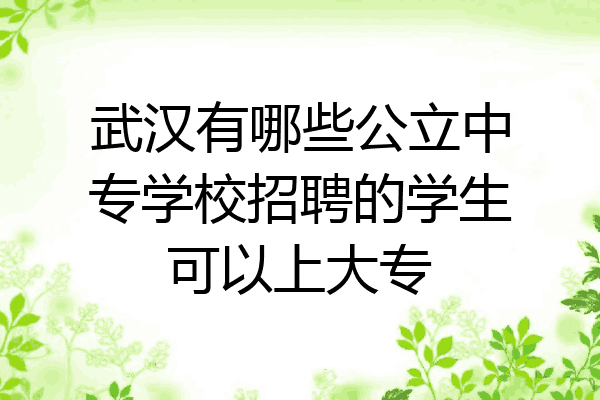 武汉有哪些公立中专学校招聘的学生可以上大专