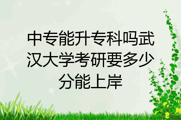 中专能升专科吗武汉大学考研要多少分能上岸