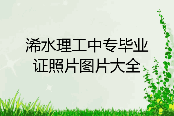 浠水理工中专毕业证照片图片大全