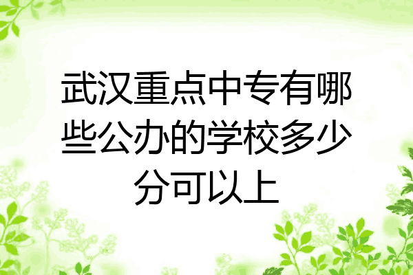 武汉重点中专有哪些公办的学校多少分可以上