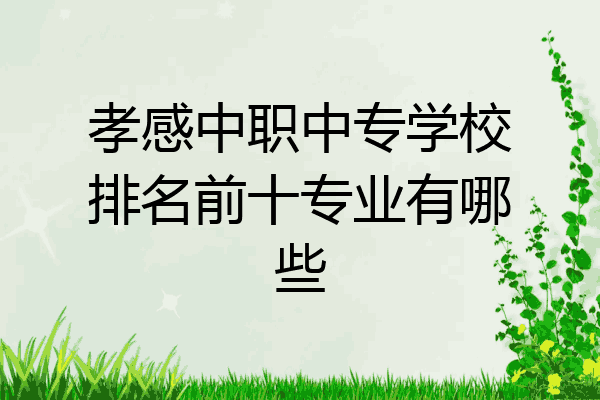 孝感中职中专学校排名前十专业有哪些