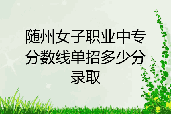 随州女子职业中专分数线单招多少分录取