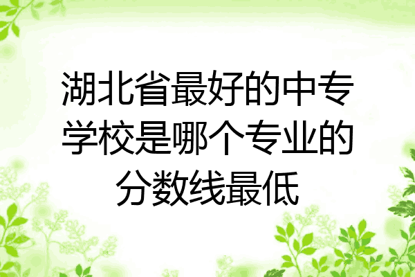 湖北省最好的中专学校是哪个专业的分数线最低