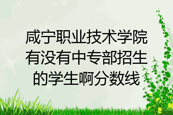 咸宁职业技术学院有没有中专部招生的学生啊分数线