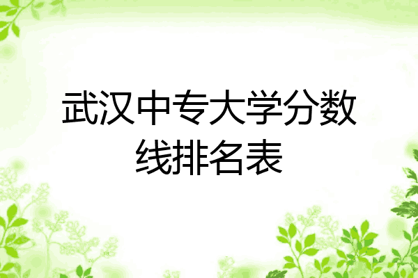 武汉中专大学分数线排名表