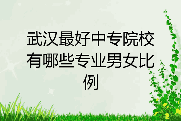 武汉最好中专院校有哪些专业男女比例