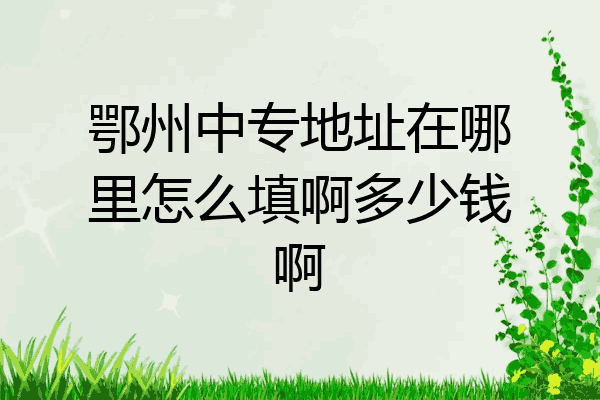 鄂州中专地址在哪里怎么填啊多少钱啊