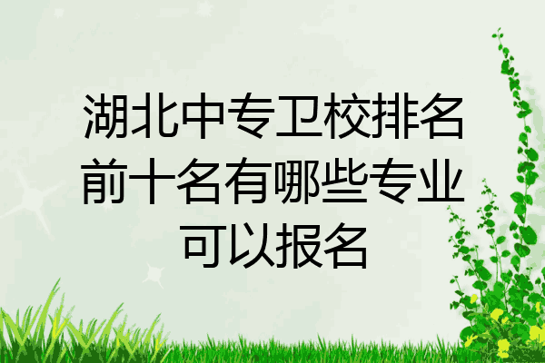 湖北中专卫校排名前十名有哪些专业可以报名