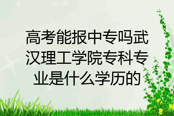 高考能报中专吗武汉理工学院专科专业是什么学历的