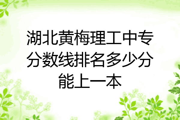 湖北黄梅理工中专分数线排名多少分能上一本