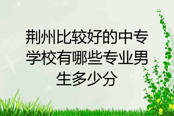 荆州比较好的中专学校有哪些专业男生多少分
