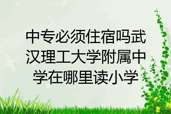中专必须住宿吗武汉理工大学附属中学在哪里读小学