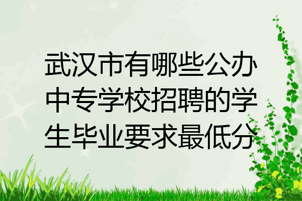 武汉市有哪些公办中专学校招聘的学生毕业要求最低分